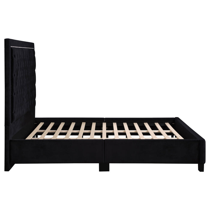 Hailey Upholstered Tufted Platform  Bed Black