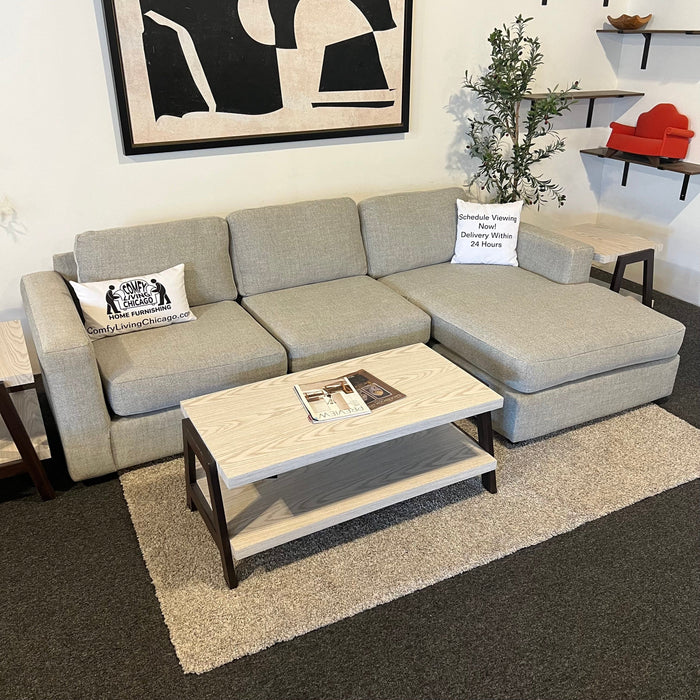 Gray Sectional Couch with Chaise