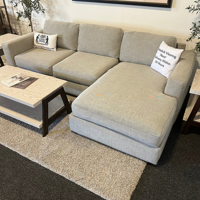 Gray Sectional Couch with Chaise