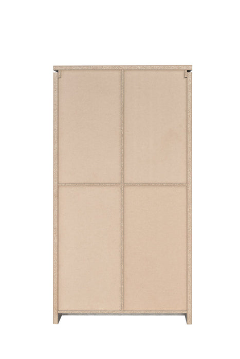 Alejo 2-door Tall Cabinet Grey Driftwood