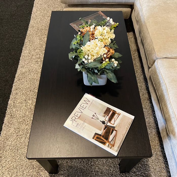 Contemporary Couch and Side Table Set in Black Finish