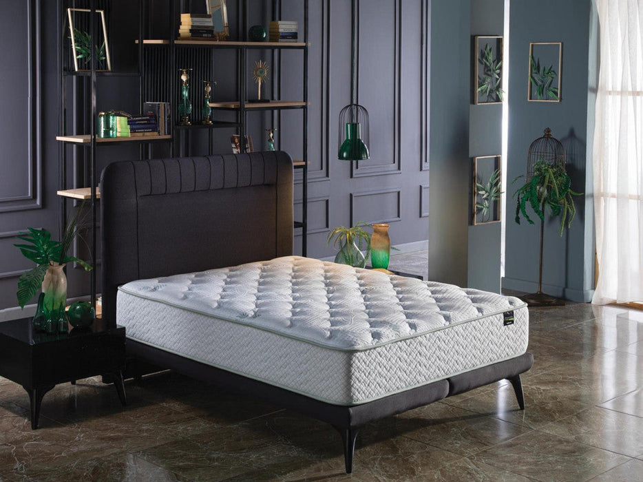 Veraflex Advance Queen Mattress	 by Bellona